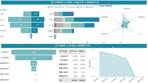 阿里天池 母婴用品电商数据分析 power bi 可视化
